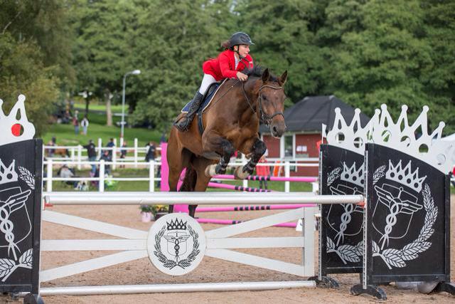 11022530_10153240628153556_3453263283836376040_n