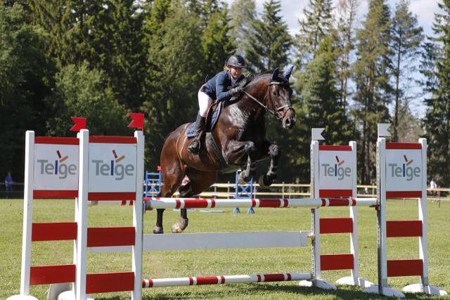 11224307_10153537771523556_5797159756198838121_n