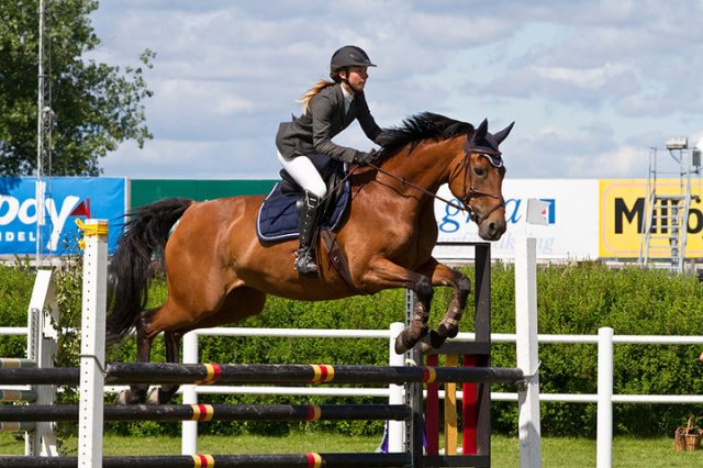 58235_433027743555_4177427_n